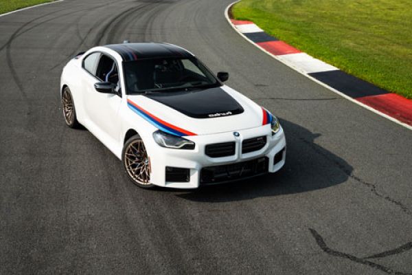 A white BMW sports car with black roof and red-blue stripes, bronze wheels, parked on a racetrack with green grass and curb markings, highlighting its performance and sporty design.