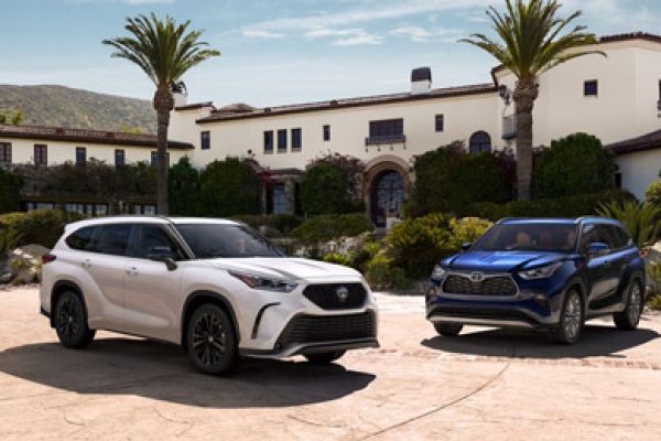 These Toyota SUVs: Crisp white, rich blue—sleek style meets upscale comfort. Perfect for luxury getaways.