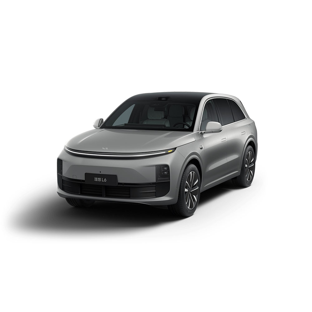 LI L6 2024 Pro Silver