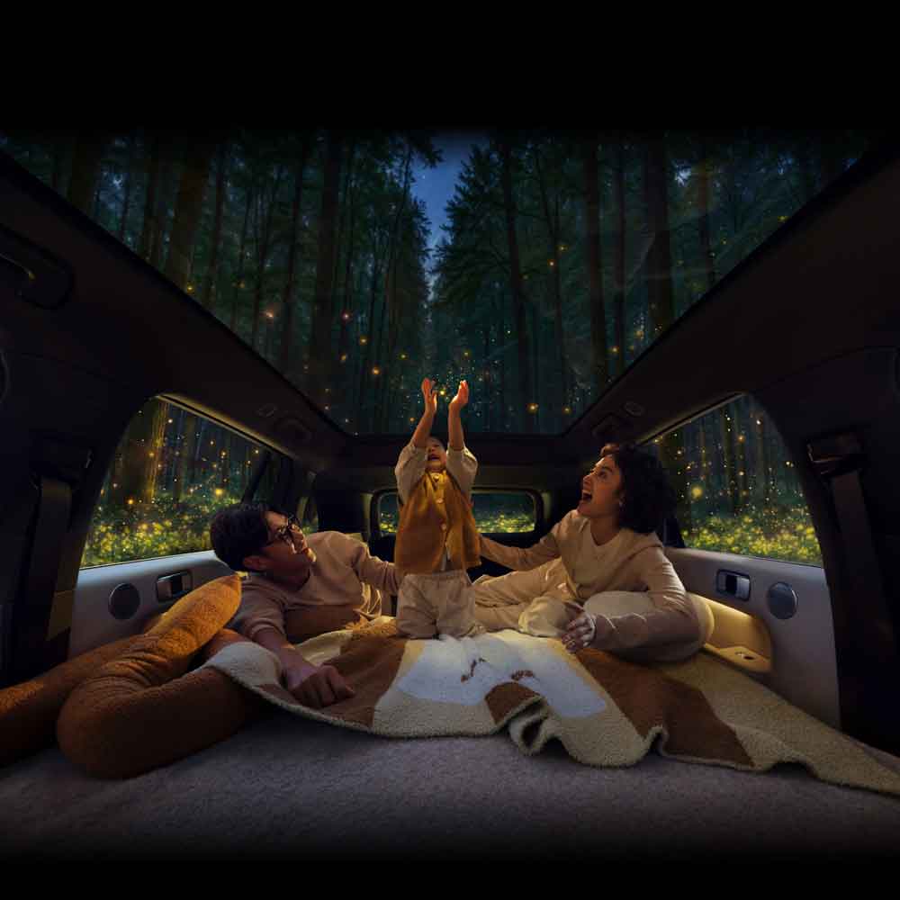 LI L6 2024 Pro gallery Panoramic canopy