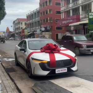 Offer door-to-door vehicle delivery service