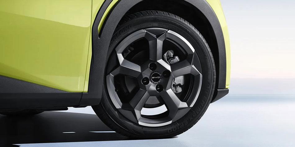 BYD Seagull wheel hub