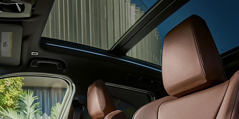 2025 BMW X1 interior: brown leather seats, panoramic sunroof, exterior building/foliage visible—modern cabin detail.