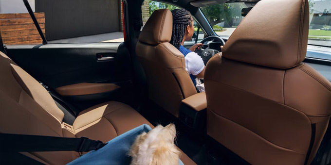 2026 Toyota Corolla Cross Rear Seats