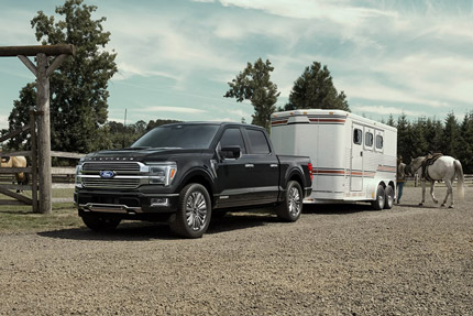 2026 Ford F-150 XLT pickup in Agate Black hitched to horse trailer