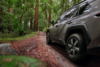 2026 Toyota RAV4 Woodland All-Terrain Tires