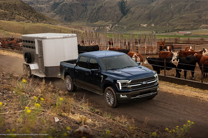 A 2026 Ford F-150 King Ranch model hitched to a horse trailer